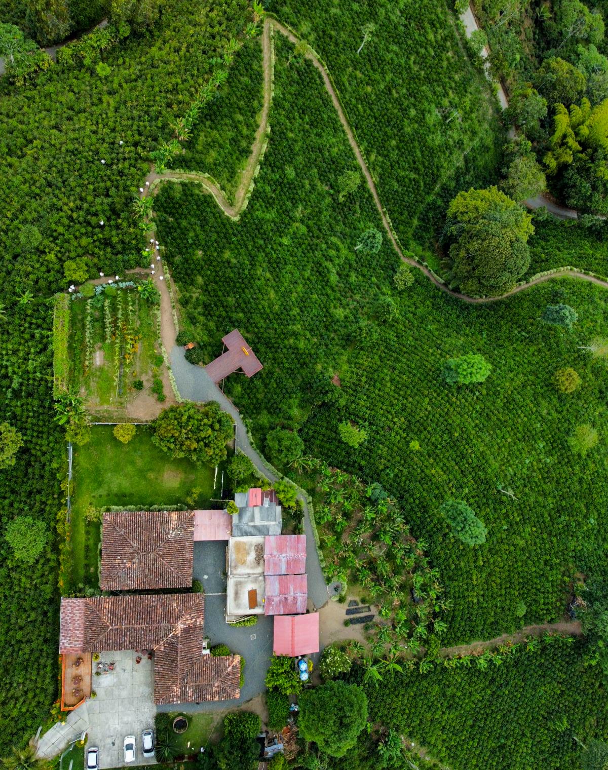 Visita a la finca