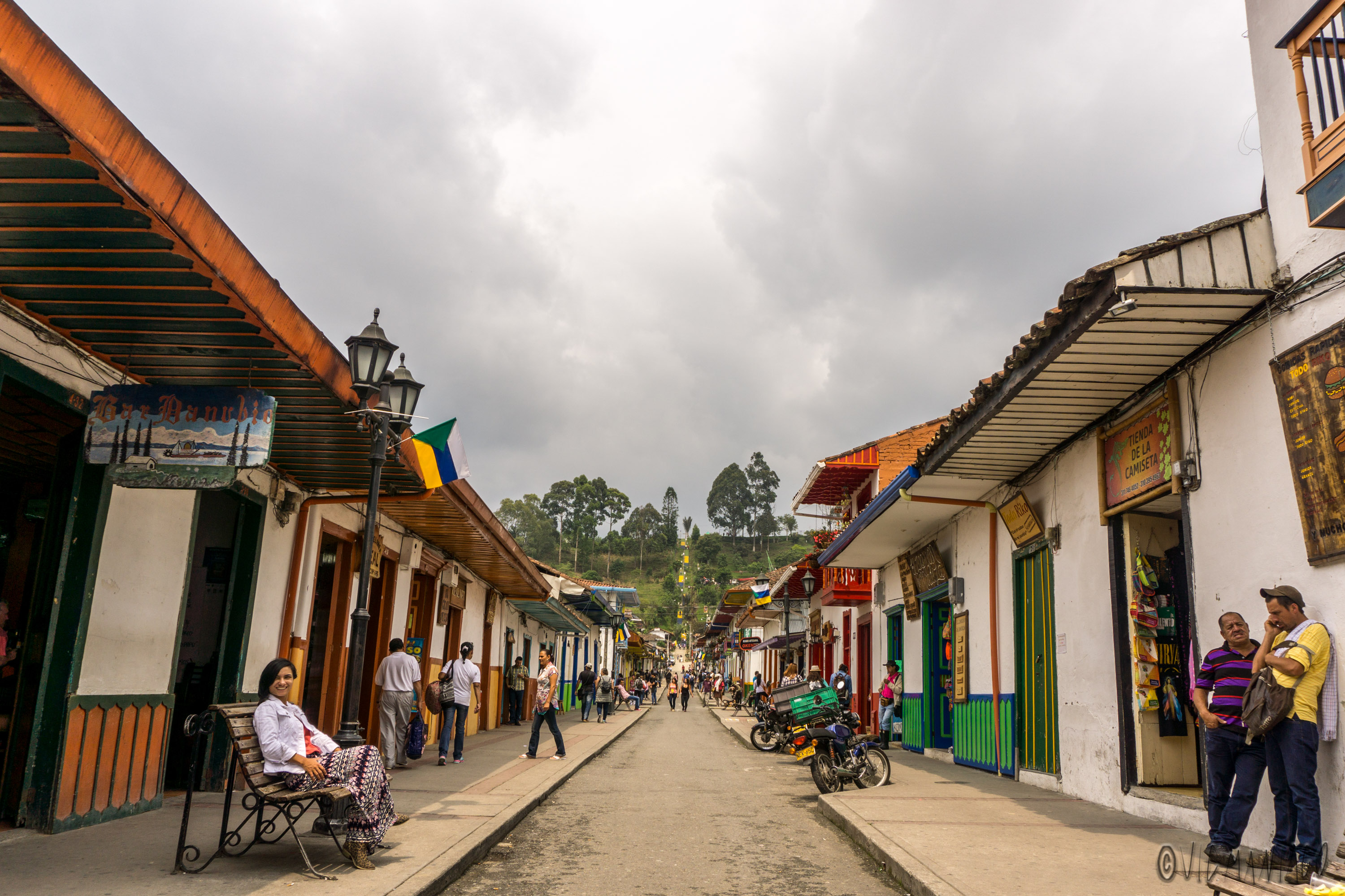 Valle del Cocora